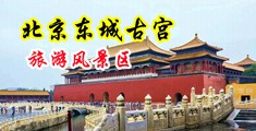 淫妇乳头中国北京-东城古宫旅游风景区